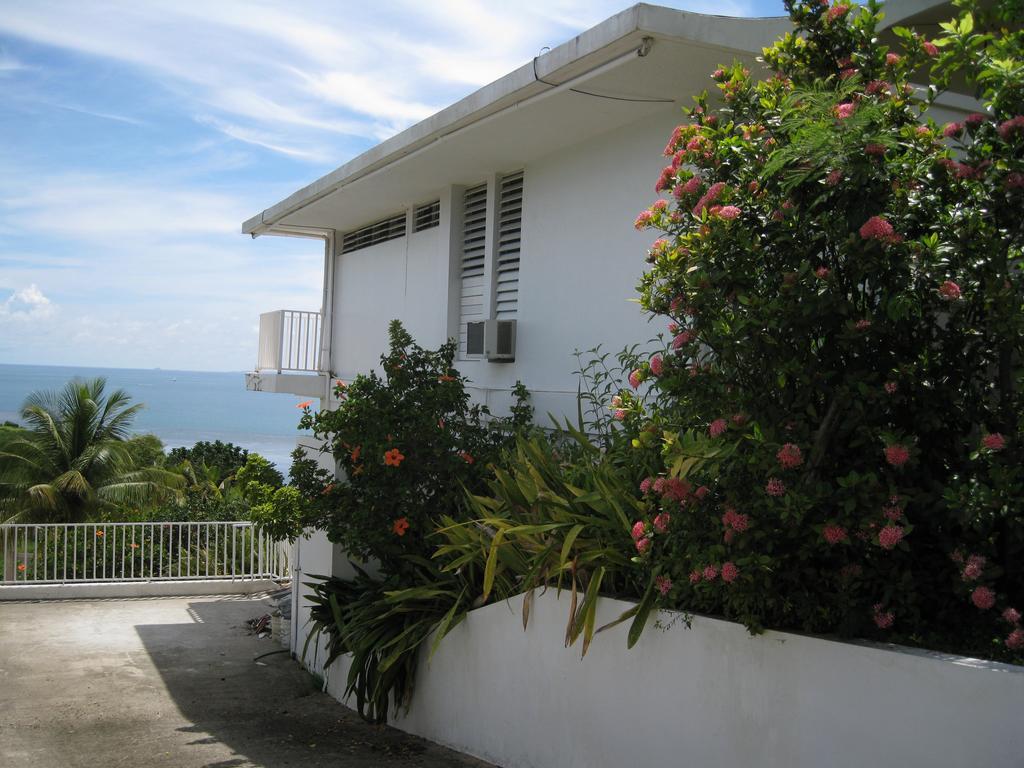 A Seascape Guest Room Fajardo Kültér fotó