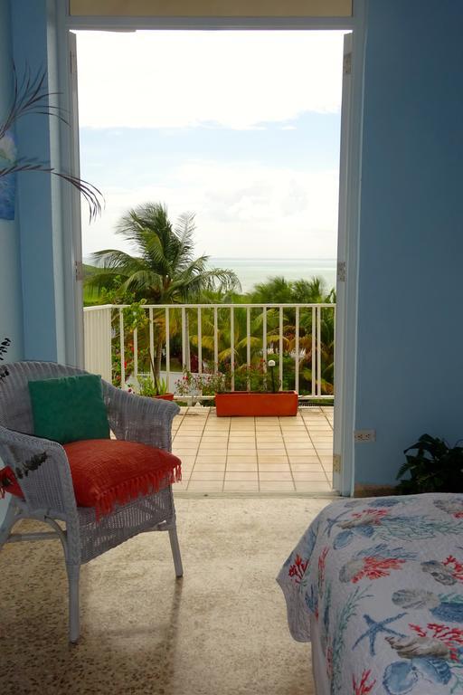 A Seascape Guest Room Fajardo Kültér fotó